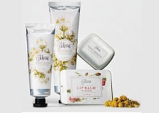 研究所受商务部委托进行两项指南的修订